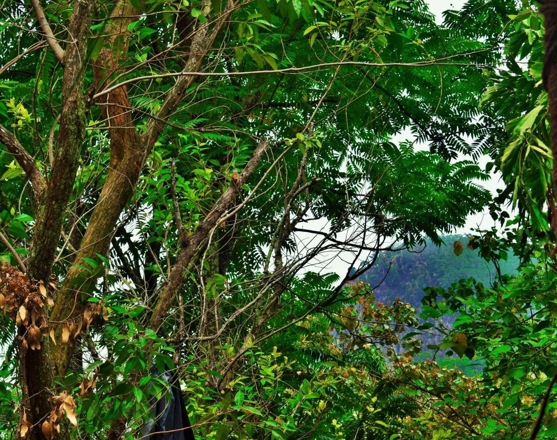 Green Cottage Ella Kültér fotó
